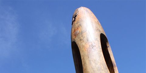 Taonga - Kawerau Koauau